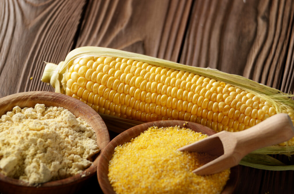bowl of corn grits corncob and corn flour on kitchen table